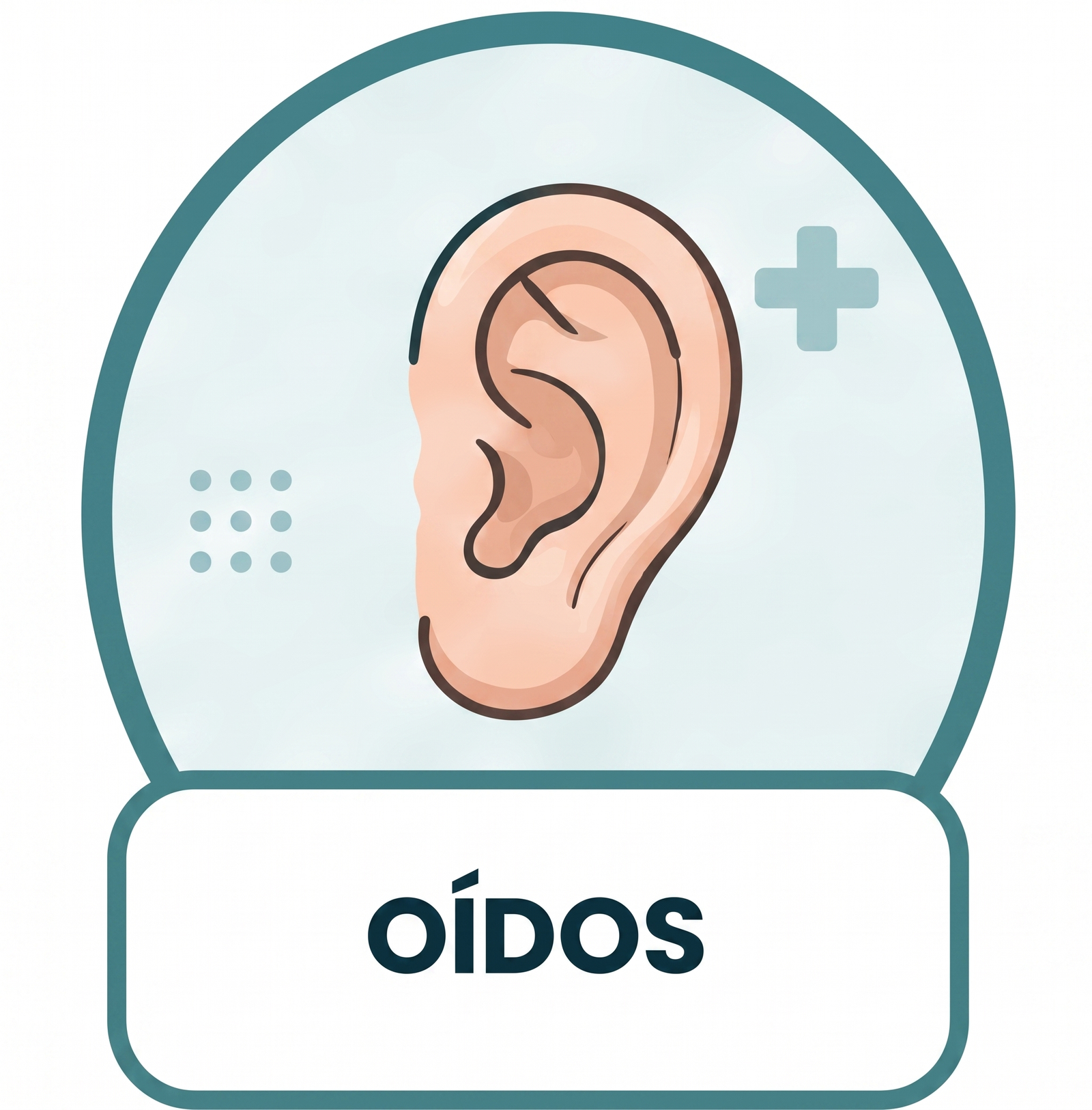 Oídos