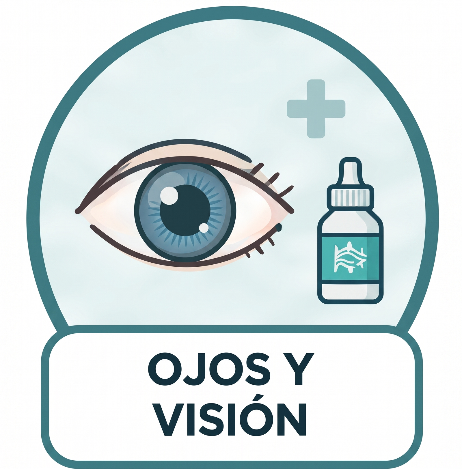 Ojos y visión