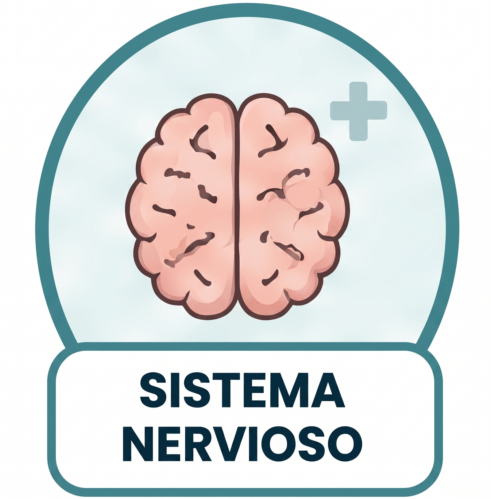 Sistema nervioso